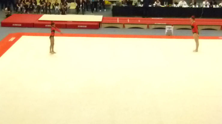 201703Metz CamilleNaéla